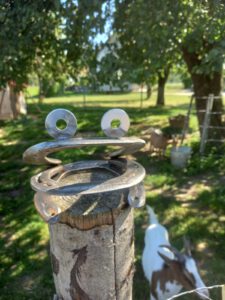 WhatsApp Bild 2024-10-17 um 18.18.55_72d8415b