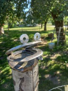 WhatsApp Bild 2024-10-17 um 18.18.55_ff0f03c8