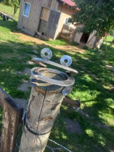 WhatsApp Bild 2024-10-17 um 18.18.56_a1e0fb65